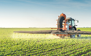 Fudelong vigorously develops peanut and sunflower self organic land as well as contracted base planting businesses, fully achieving source control